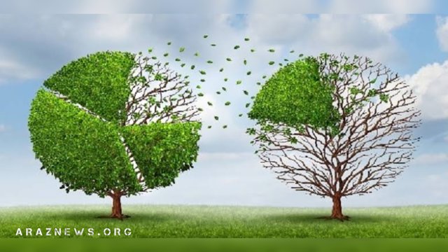 میللی حرکت‌ ایله سوسیال عدالت قاورامی