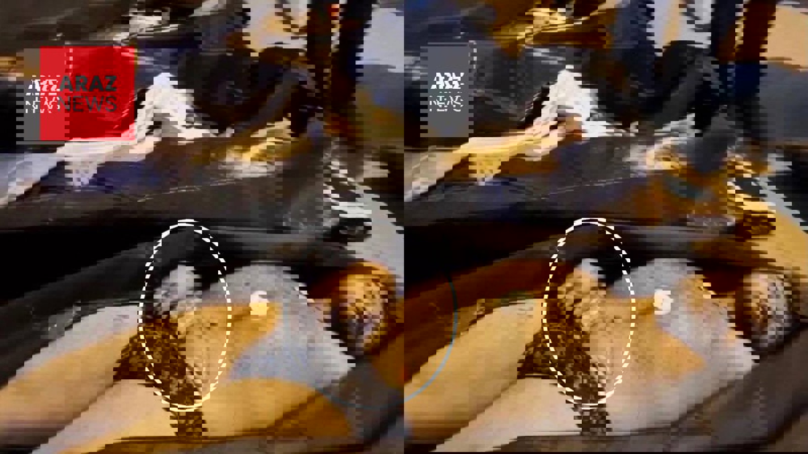  افشای شلیک تیر خلاص به زخمی‌ها در داخل بیمارستان‌ها            