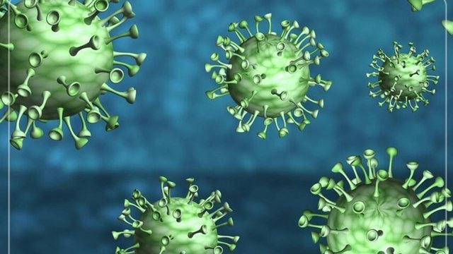 ABŞ-da «Siklospora» parazitinin yayılması: 1644 xəstə, 94 hospitalizasiya