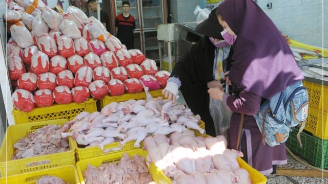 زنگ خطر گرانی مرغ به صدا در آمد؛ جهش قیمت نهاده‌ها بازار را در آستانه افزایش نرخ قرار داد