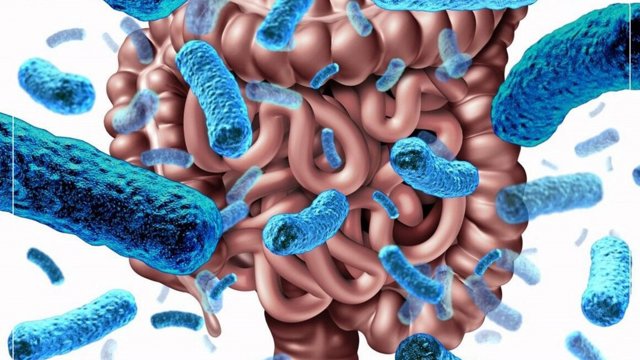 هشدار متخصصان تغذیه: این ۵ عادت روزمره آرام آرام روده‌تان را نابود می‌کند
