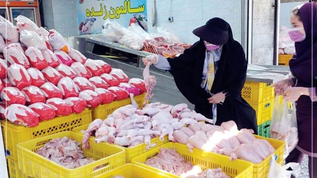 بحران تازه در سفره مردم؛ مرغ‌های تاریخ‌گذشته در سردخانه‌ها