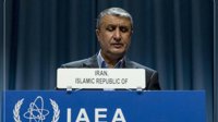 آسوشیتدپرس: اتریش به محمد اسلامی برای حضور در نشست آژانس ویزا نداد