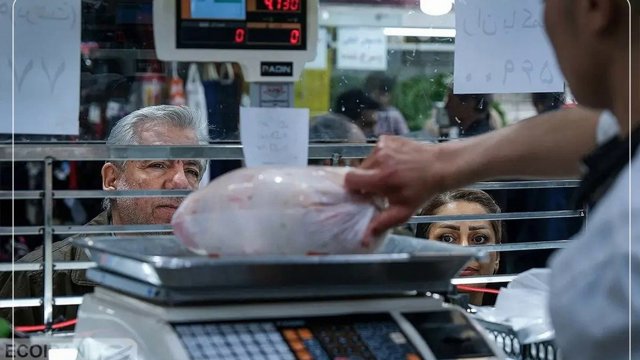 Toyuq əti bir həftədə 25 faiz bahalaşıb: bir günlük əmək haqqı yalnız bir kiçik toyuğa çatır