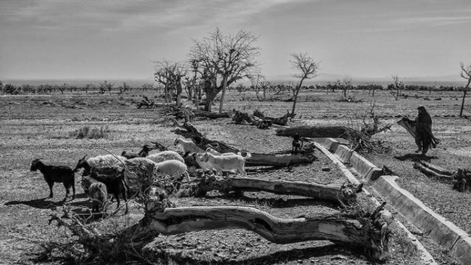 حدود ۸۴ درصد مساحت ایران با درجات گوناگونی از خشکسالی مواجه است