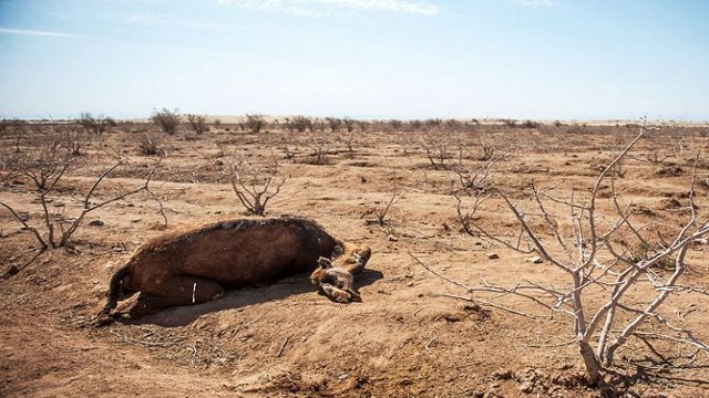 عیسی کلانتری: به دلیل بی‌آبی ۵٠‌میلیون ایرانی باید مهاجرت کنند