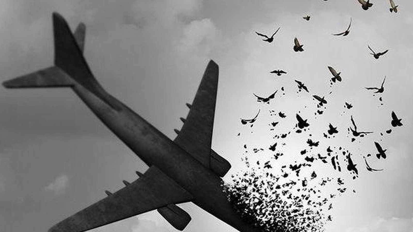 متهم ردیف اول هواپیمای اوکراینی آزاد است