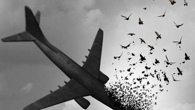 متهم ردیف اول هواپیمای اوکراینی آزاد است