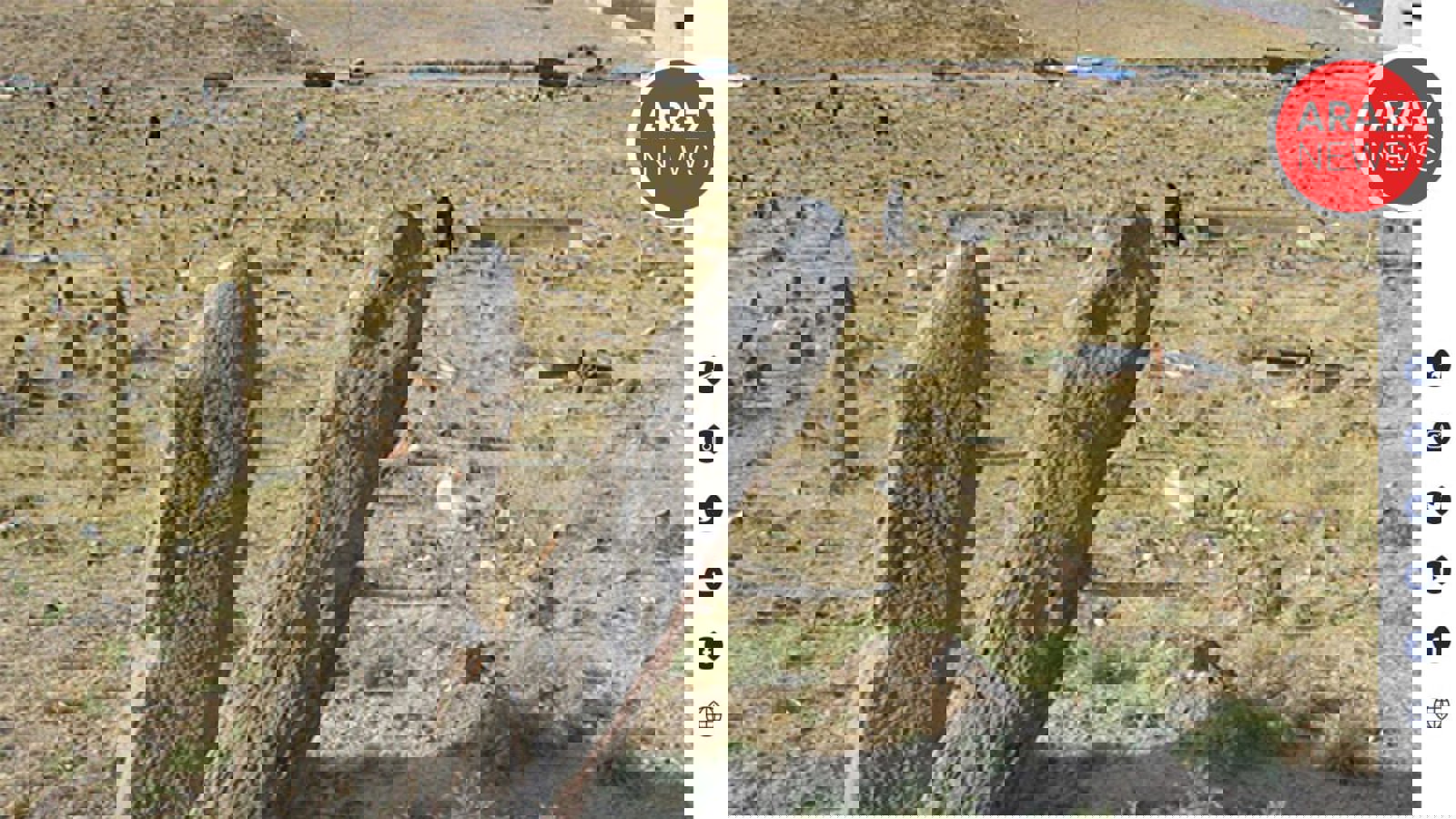 قبرستان تاریخی «پینه شلوار» تبریز در آستانه نابودی کامل