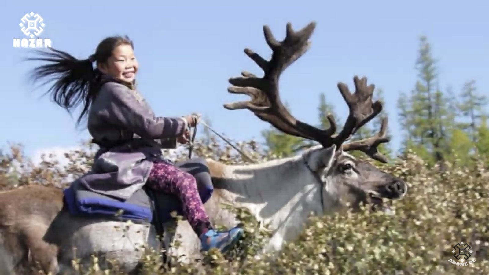 دوخا تورکلری - کیملیک پروقرامی