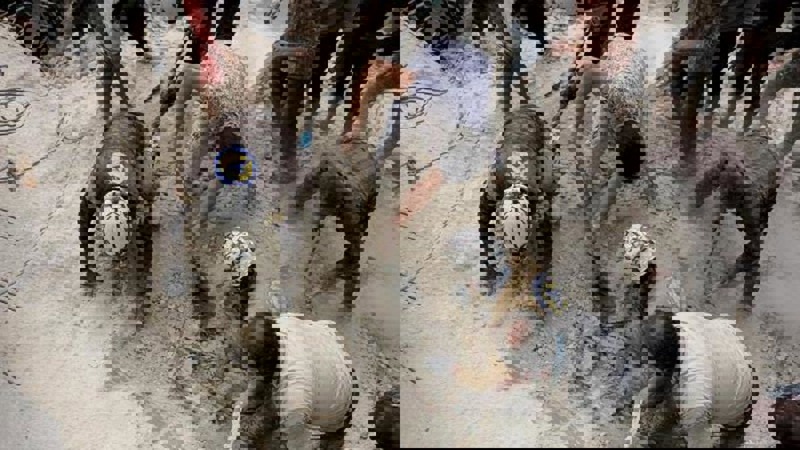 صدها کشته در نتیجه بمباران نیروهای اسد