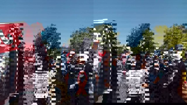 اعتراض شهروندان تبریز به کشتار سگ‌های ولگرد مسئولین را مجبور به پاسخگویی کرد