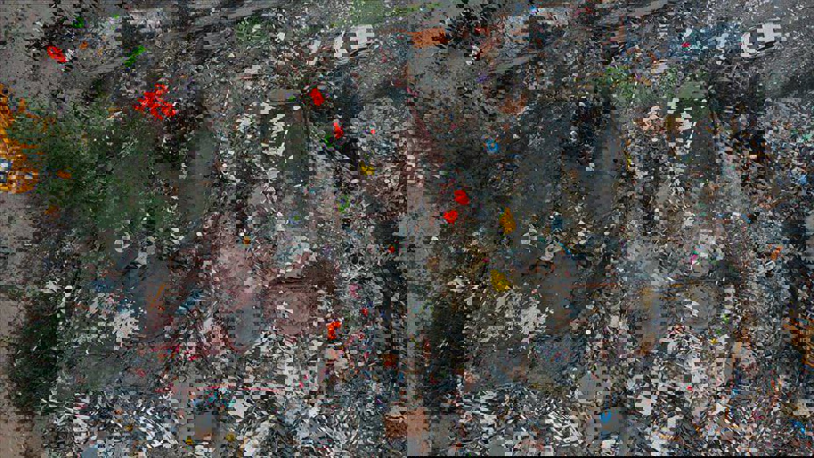 پروفسور ژاپنی: زلزله ترکیه یکی از بزرگترین زلزله‌ها در جهان است