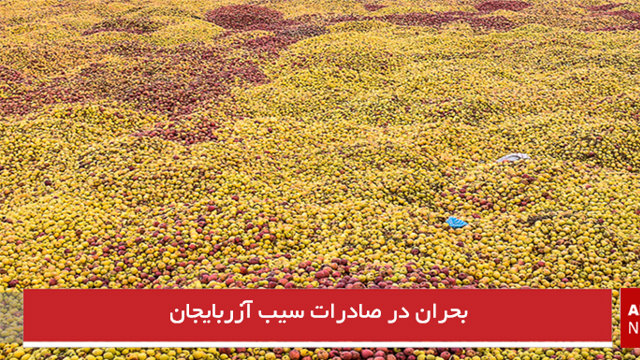 بحران در صادرات سیب آزربایجان