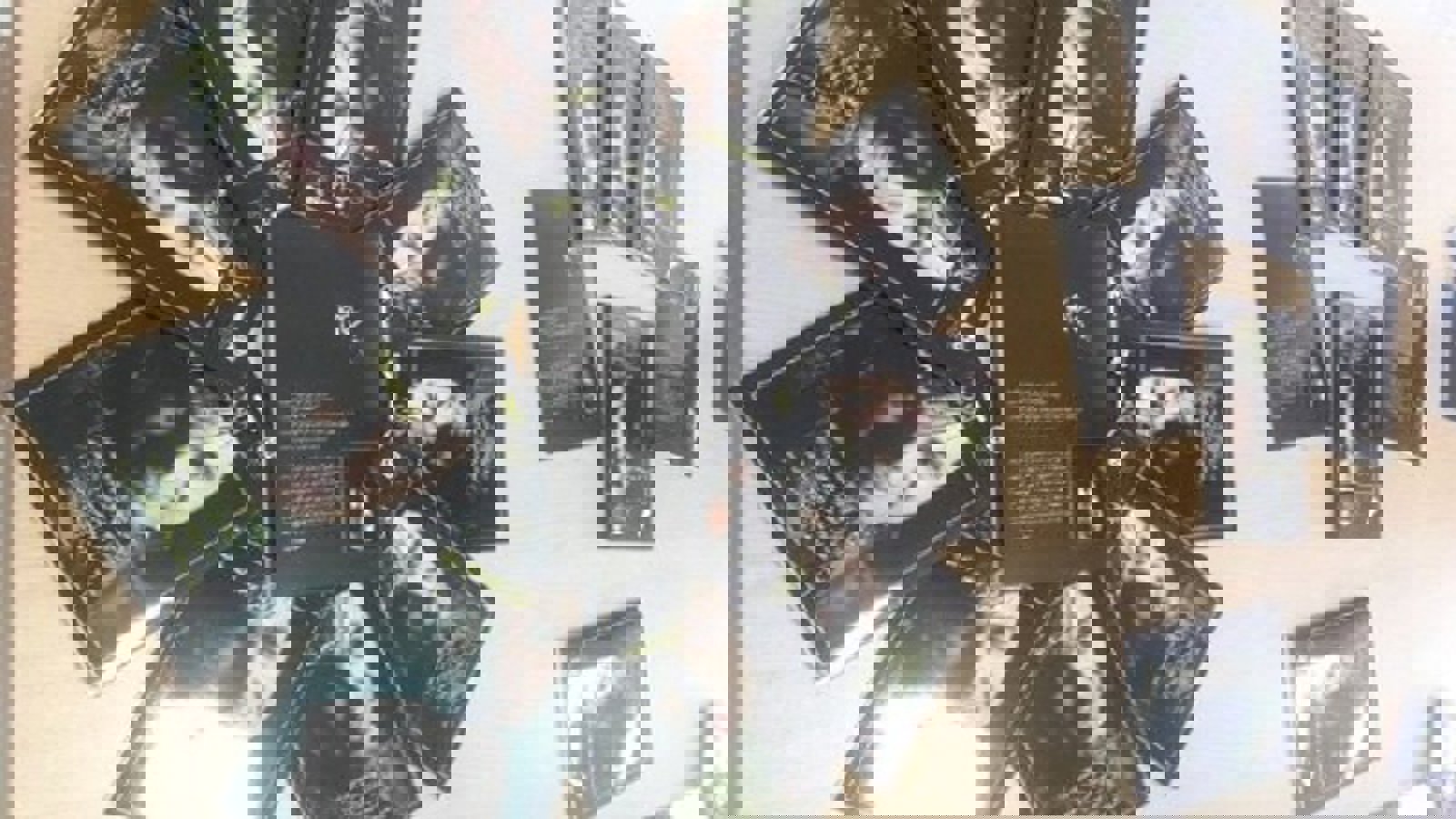 انتشار شماره یازدهم نشریه دانشجویی  اولدوز +  پی دی اف