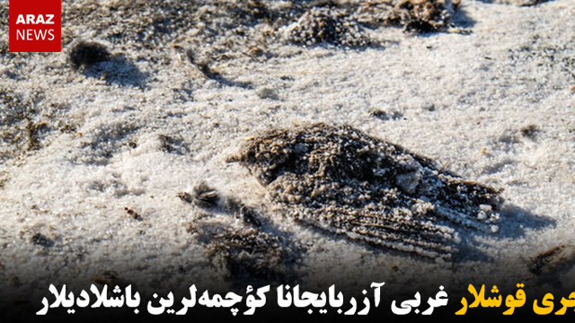 کؤچری قوشلار غربی آزربایجانا کؤچمه‌لرین باشلادیلار