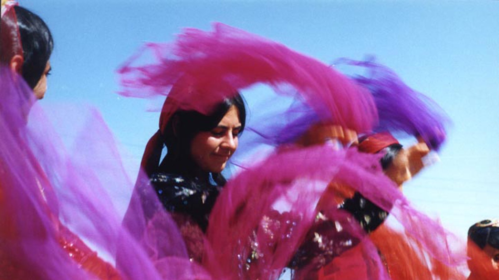 کاش زیبا کلام به قشقایی‌ها توهین کرده بود!