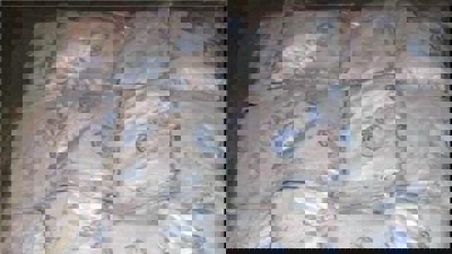 توقیف یک کشتی ایرانی حامل مواد مخدر در امارات