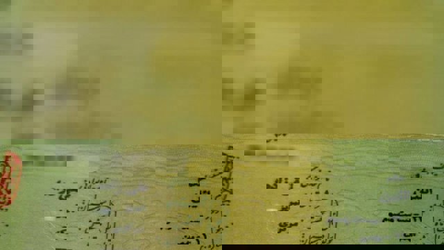 «ائلین» پس از ۵ماه صاحب شناسنامه شد