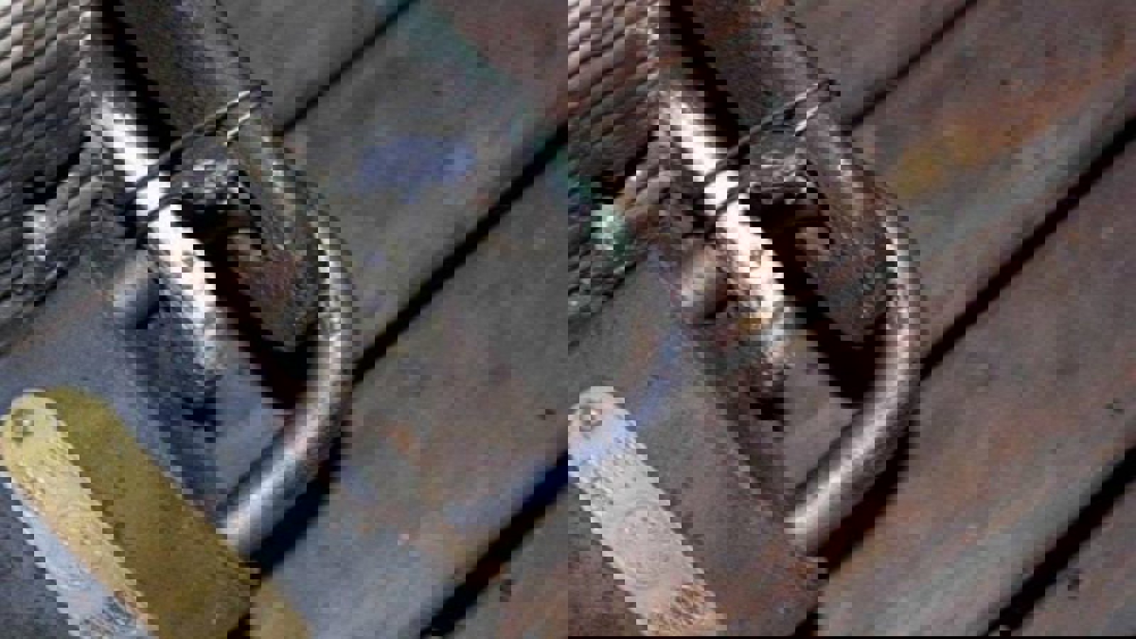 پلمپ شدن '۲۵ واحد صنفی متعلق به بهاییان' در اورمیه