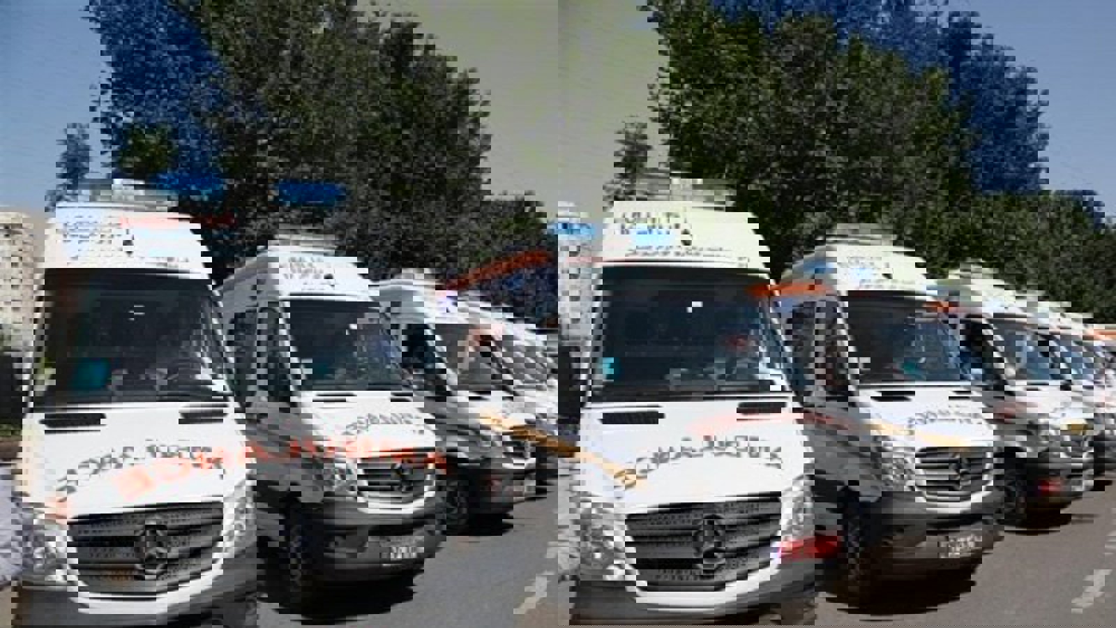 مریضی که نتوانسته بود فارسی حرف بزند مداوا نشد+ویدئو