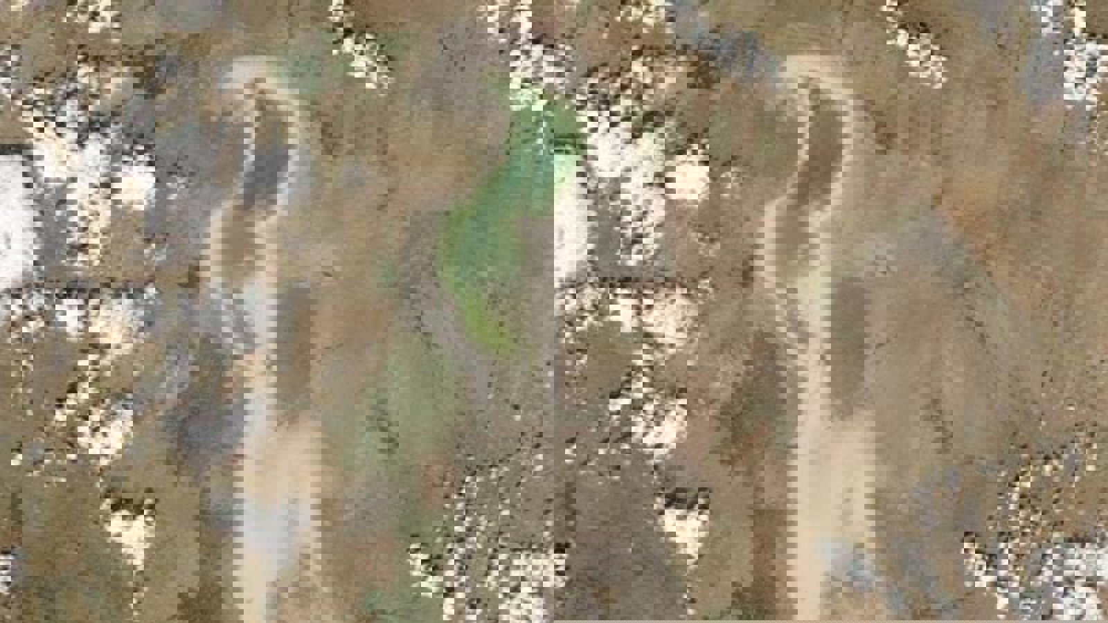 انتقال آب دریاچه وان به دریاچه ارومیه در دستور کار قرار ندارد