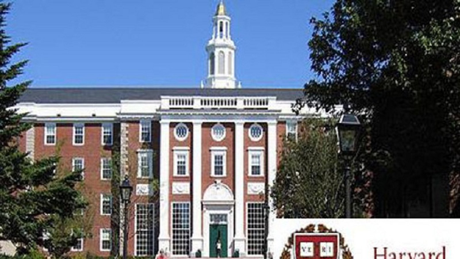 «هاروارد»: ایران و نظام اسد در تاسیس «داعش» و حمایت از «القاعده» دست دارند