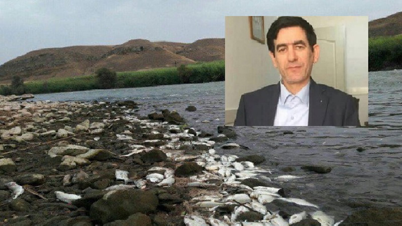 سونامی سرطان گوارشی و مرگ آبزیان آراز ناشی از پساب های صنعتی ارمنستان است