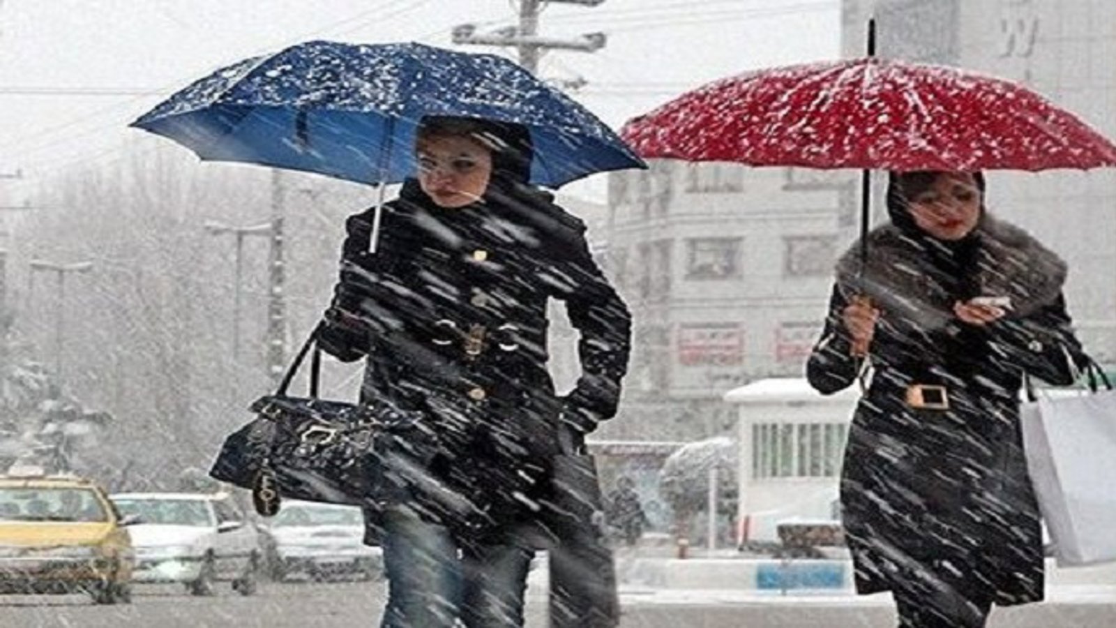 قطع برق و تعطیلی مدارس به دنبال بارش برف در اردبیل