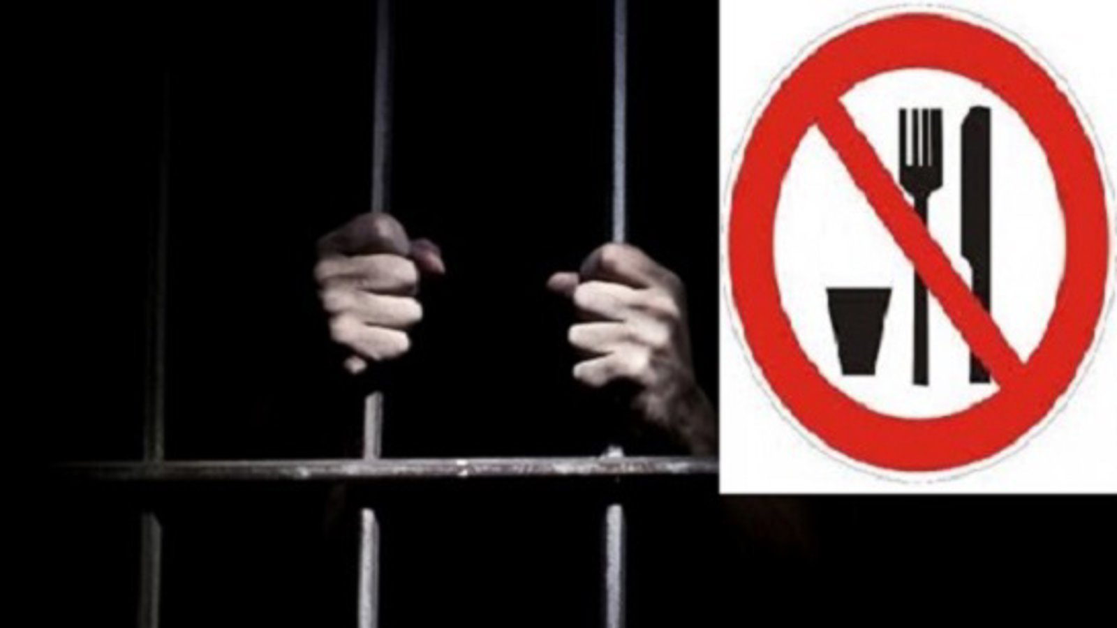 اعتصاب غذای برخی از فعالان سر شناس حرکت ملی در زندانهای ایران