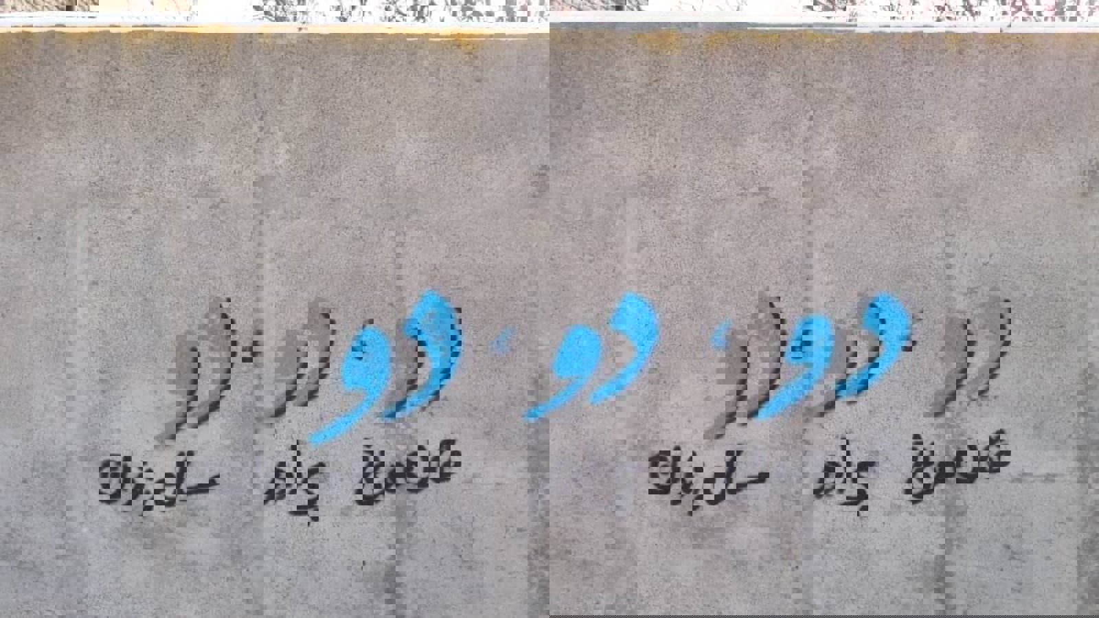 «دو فعال مدنی، دو برادر، دو سال زندان»