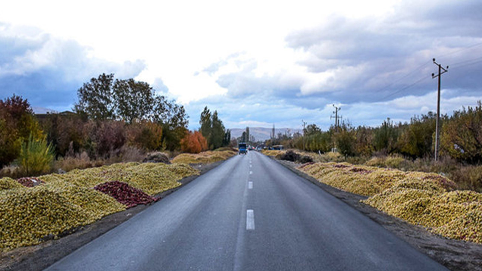 سیب و توسعه کشاورزی – یونس زارعیون