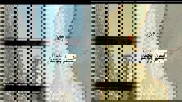 زندانی زاهدانی با سرطان معده از حق معالجه محروم است