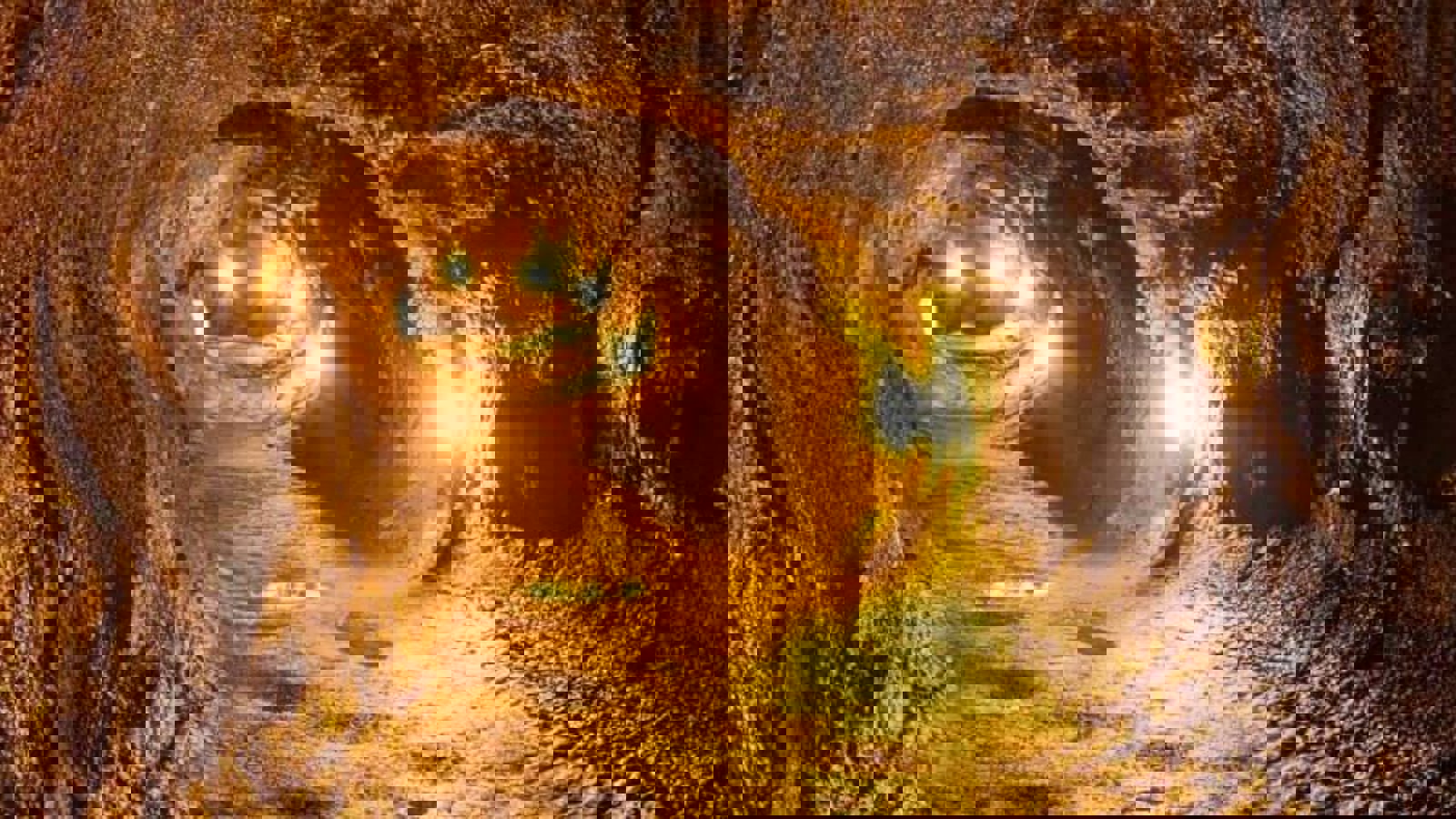 ۱۰۰ کارگر معدن طلای آق‌دره تیکان‌تپه با عنوان «کارگر فصلی» اخراج شدند