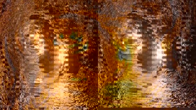 ۱۰۰ کارگر معدن طلای آق‌دره تیکان‌تپه با عنوان «کارگر فصلی» اخراج شدند