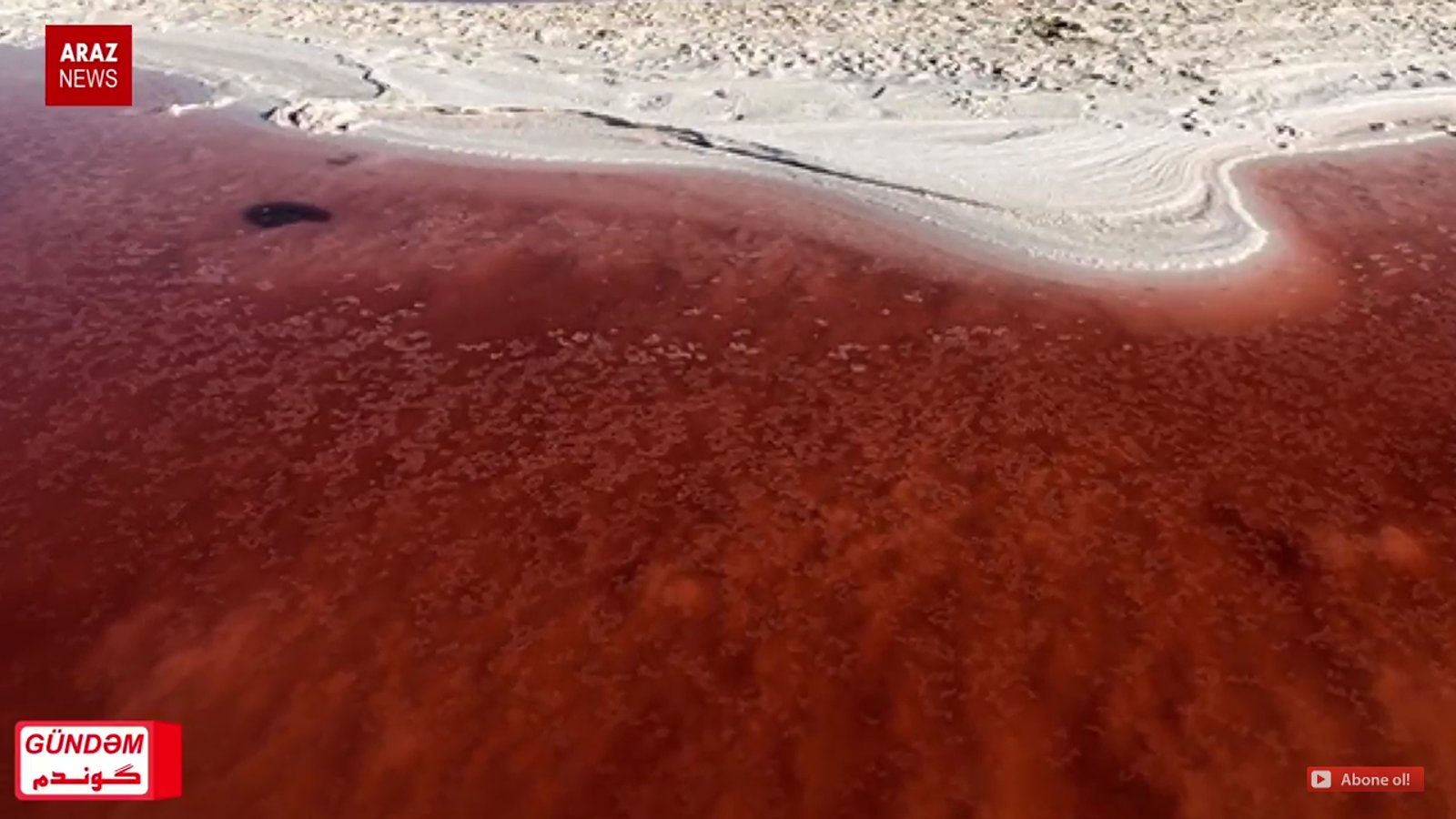 گوندم پروقرامی - ۱۲ مهر