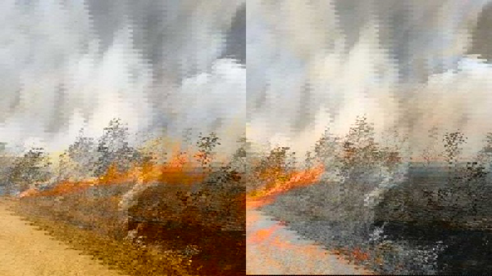 آتش‌زدن عمدی مراتع قره‌باغ اشغالی از سوی دولت ارمنستان