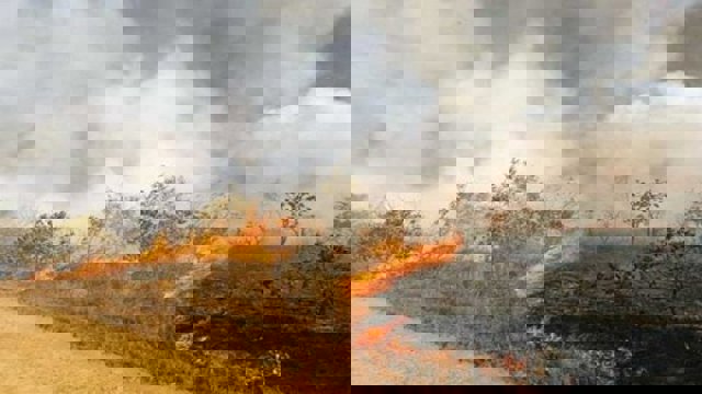 آتش‌زدن عمدی مراتع قره‌باغ اشغالی از سوی دولت ارمنستان