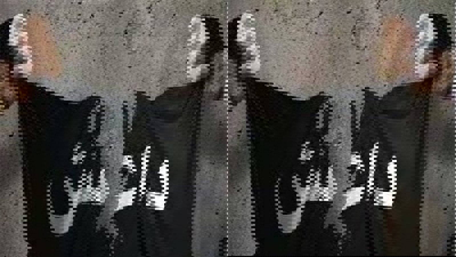 ۲۰ تبعه خارجی مرتبط با داعش در آزربایجان‌شرقی دستگیر شدند