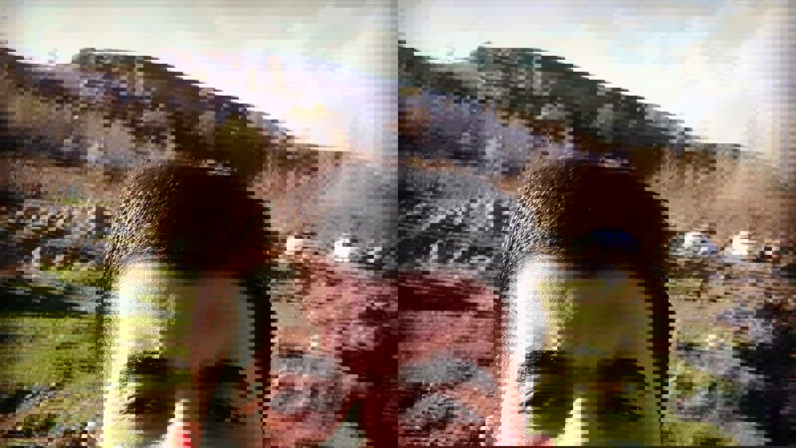 احضار تلفنی‌ و بازجویی‌ چند‌ ساعته مقصود‌ علیزادگان در اداره اطلاعات اردبیل