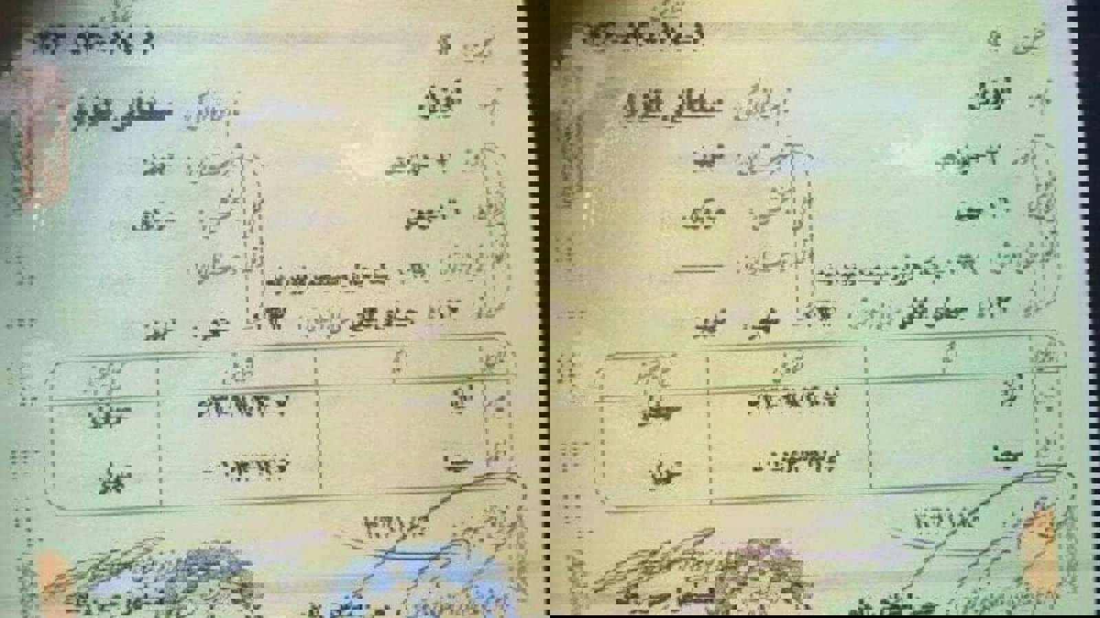 اوزان سلطانی؛ بالاخره صاحب شناسنامه شد!