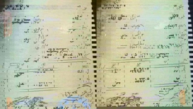 اوزان سلطانی؛ بالاخره صاحب شناسنامه شد!