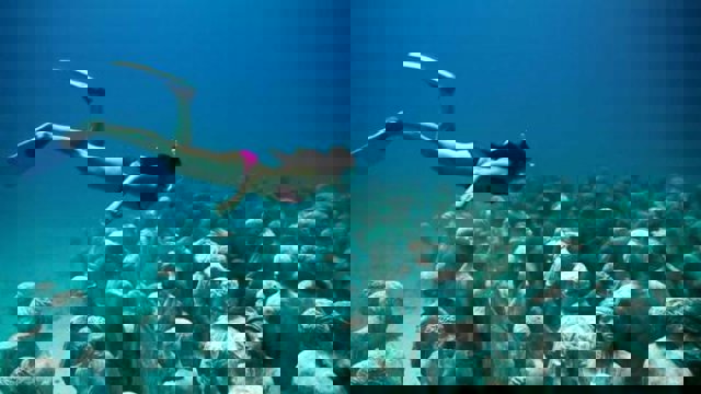 افتتاح اولین موزه زیرآبی اروپا در ترکیه + عکس