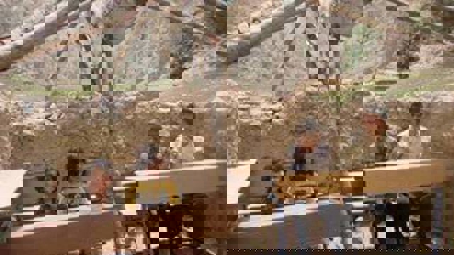 تمامیت ارضی یا تمامیت منابع ارضی؟