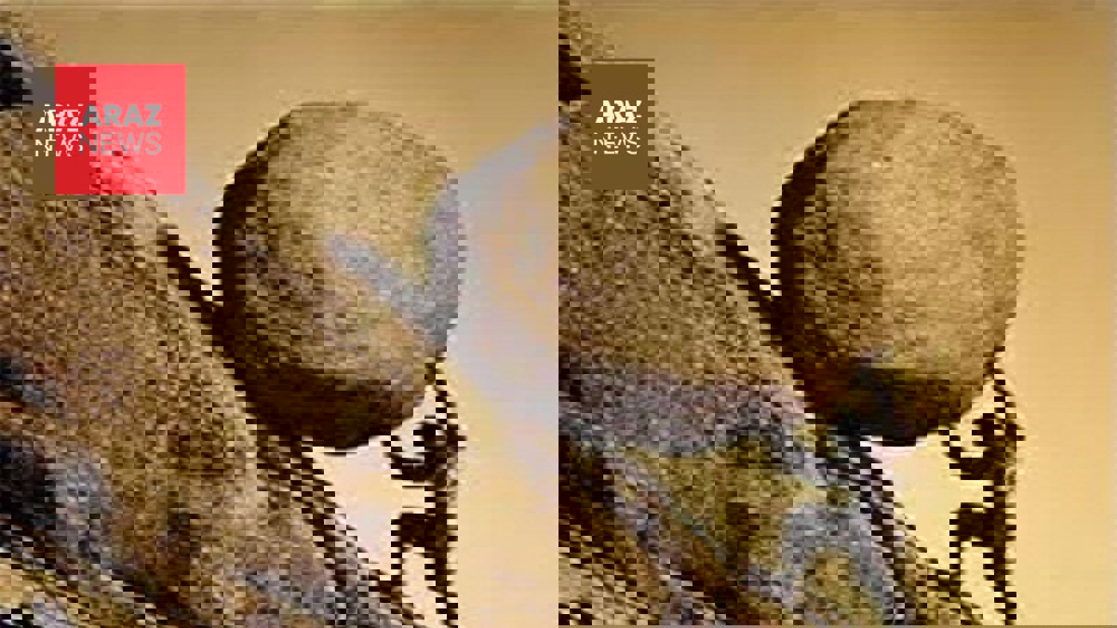 قوم‌گرایی آریایی؛ آینه‌ی یک ذهن متوهم