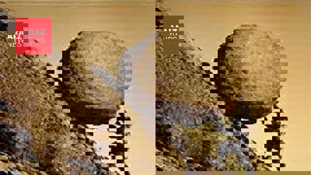 قوم‌گرایی آریایی؛ آینه‌ی یک ذهن متوهم