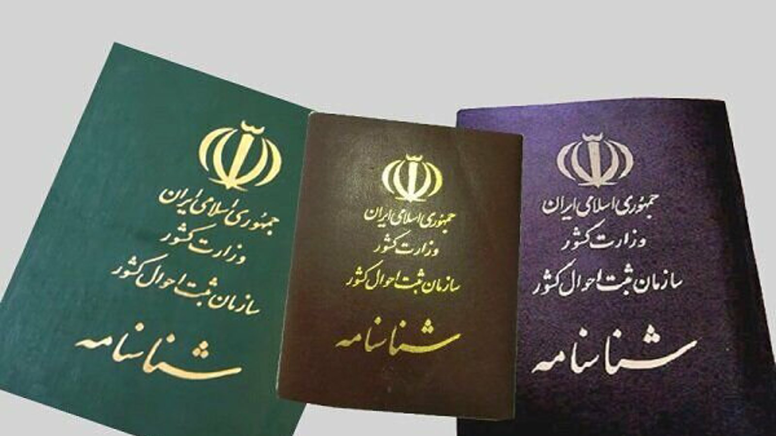 اداره ثبت احوال ملزم به صدور شناسنامه برای «ائل آنا» خواهد شد