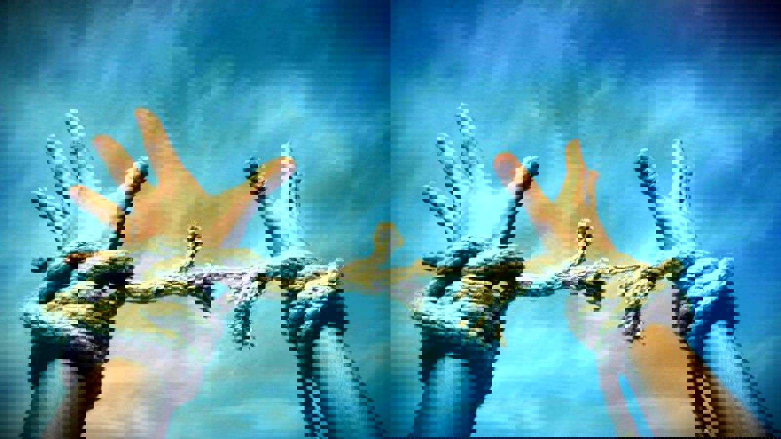 "نه حبس ائله مک نه هده قورخو بیر میللتی یولوندان جایدیرا بیلمز"