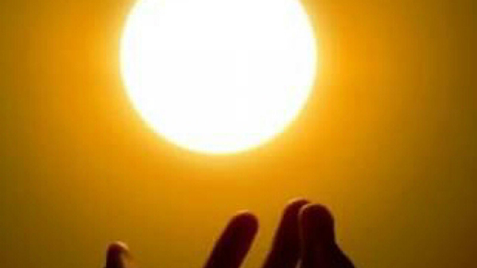 میلی مدنیتیمیز و میلی حیاتیمیز - آیدینلیق