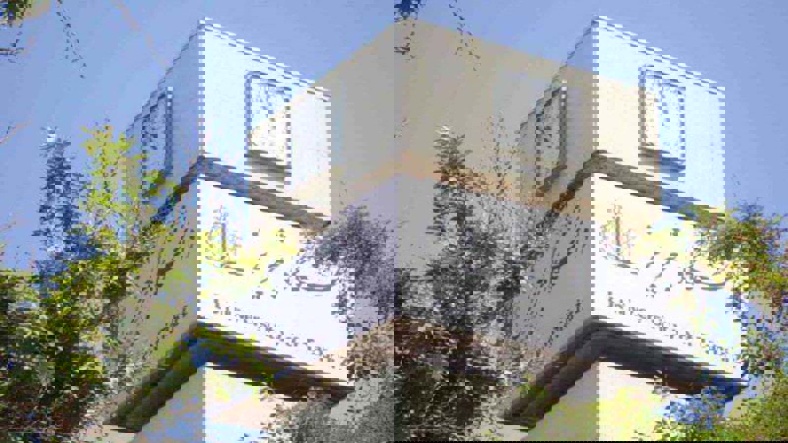 تاکید دوباره رئیس گروه زبان و ادبیات تورکی دانشگاه تبریز بر آموزش به لهجه تبریز